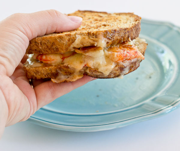 shrimp melt sandwich