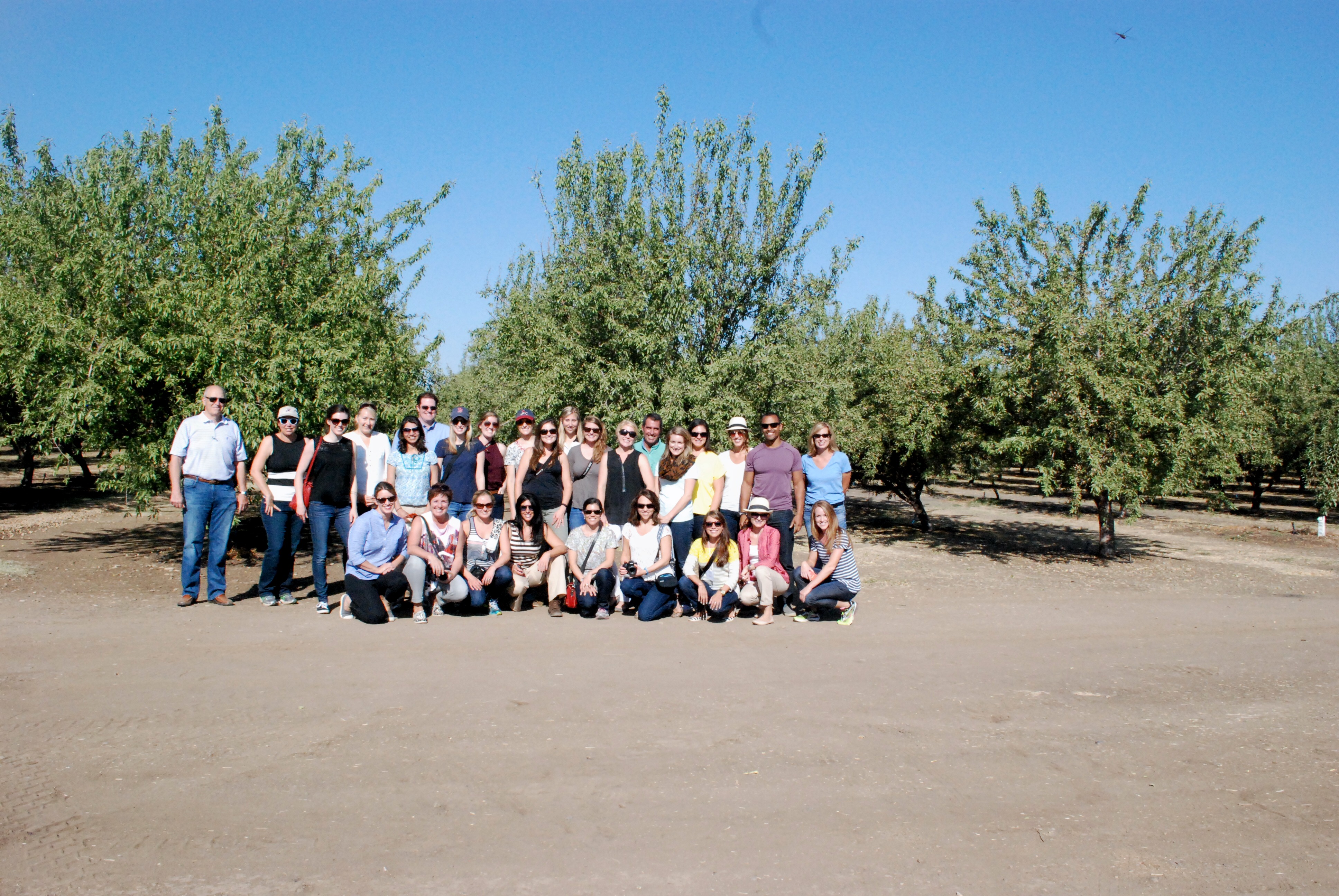 California Almonds Orchard Tour