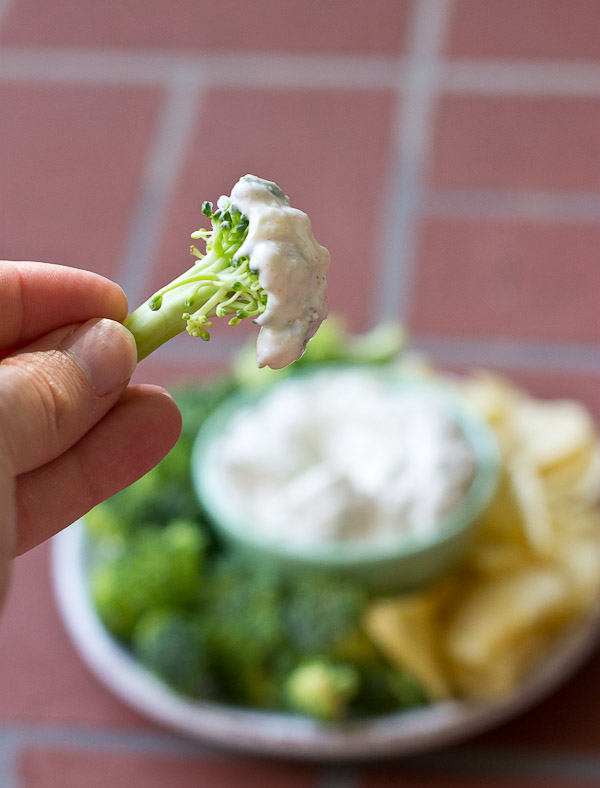 This Healthy French Onion Dip made with Greek yogurt and shredded zucchini makes a great party appetizer or snack. Your guests will never know it's healthy. 