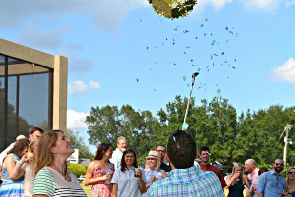 PInata Theme Gender Reveal Party