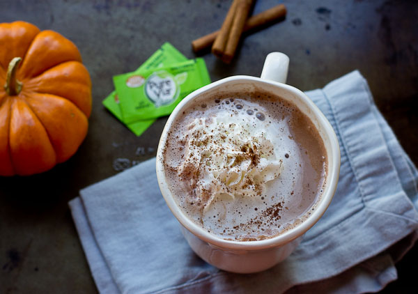 Who doesn't love a warm mug of hot cocoa on a chilly evening? Cozy up with this Cinnamon Hot Chocolate, guilt free with no sugar added! 