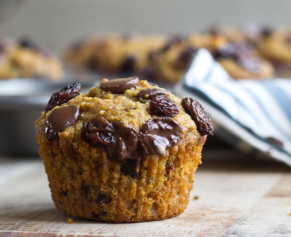 Up close shot of Pumpkin Chocolate Chip lactation muffins with melted chocolate chips