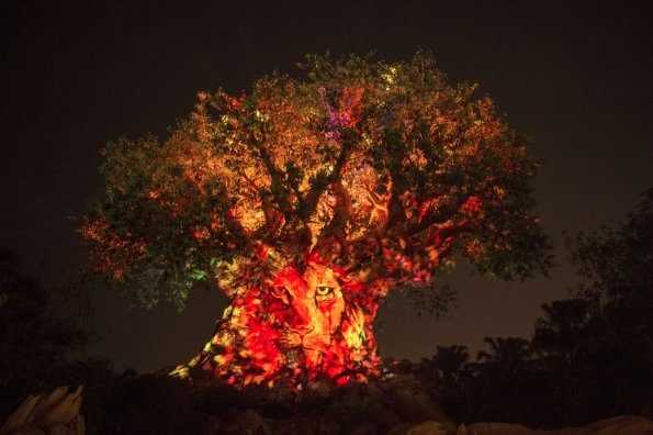 Awaken Summer Tree of Life