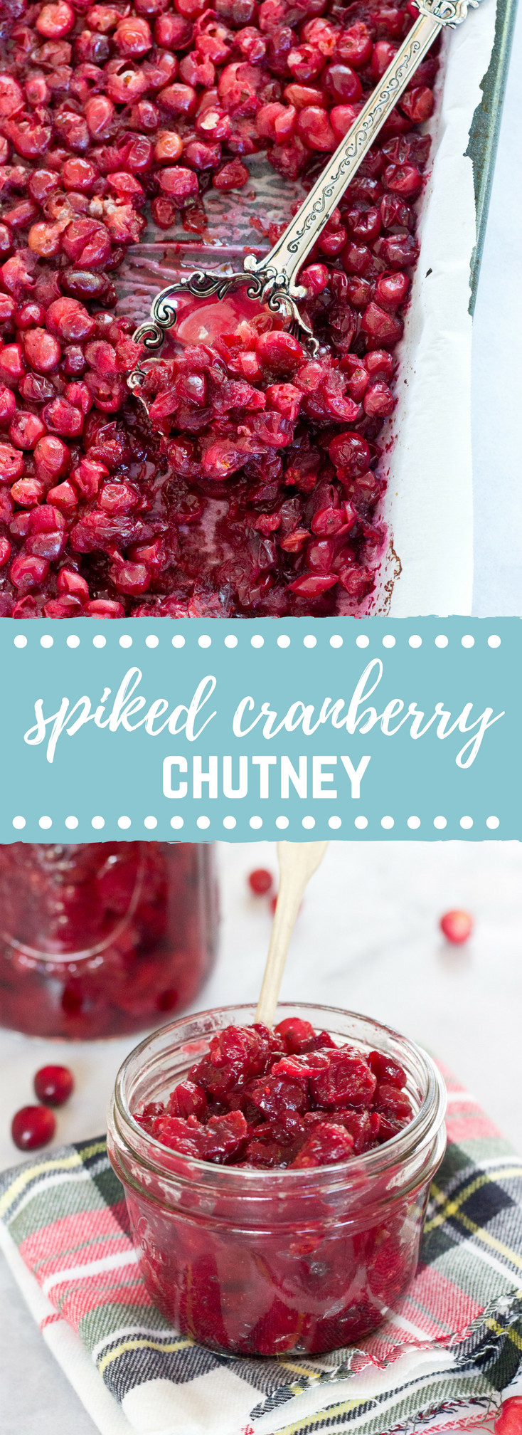 This Spiked Cranberry Chutney not only smells amazing while it's cooking, it’s so freaking good. Fresh cranberries, cinnamon, cloves and aged rum... the perfect topping for everything holiday!