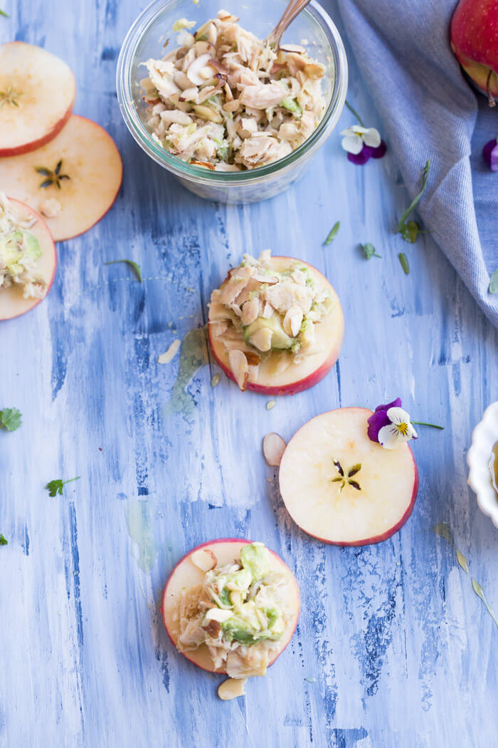 light and low carb lunch recipe with Greek yogurt, tuna, avocado, almond, and apple slices