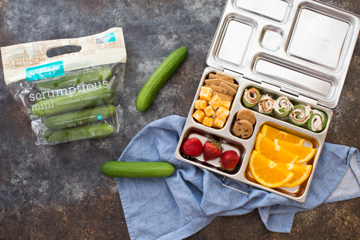 Sandwich free kid friendly lunch box ideas the whole family will love. These tasty bento style lunch boxes are balanced for nutrition, color, and variety the kids will love them. 