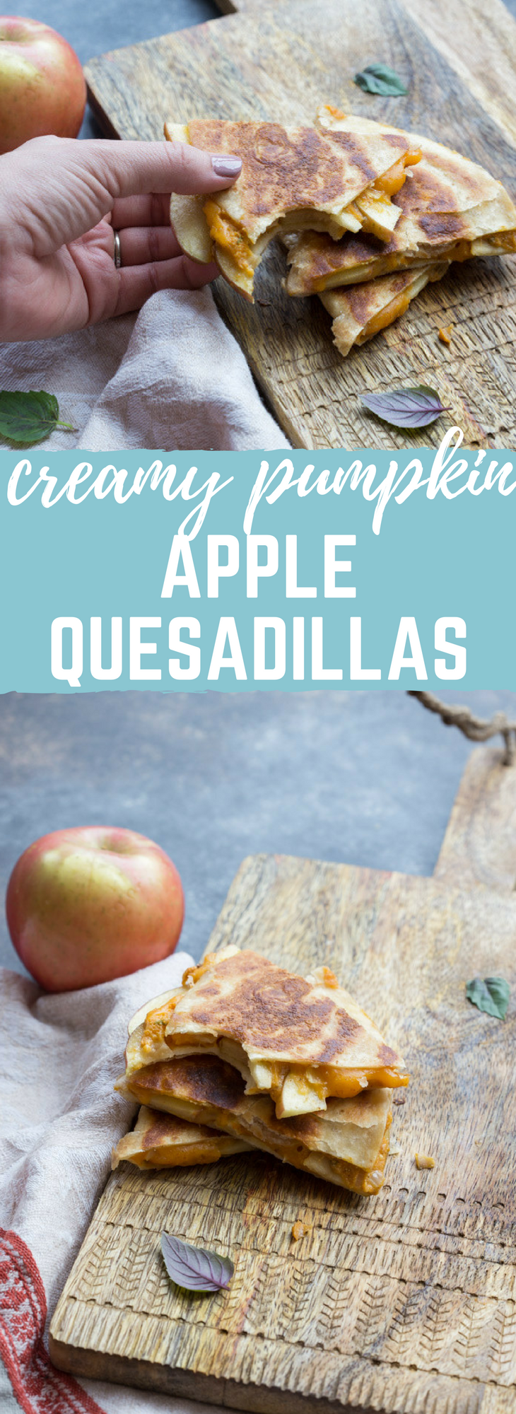 If you're looking for a simple comfort food dinner (or lunch) that tastes like fall-- this is it! Creamy Pumpkin Apple Quesadillas are perfect for little hands for snacking after school or before trick or treating. 