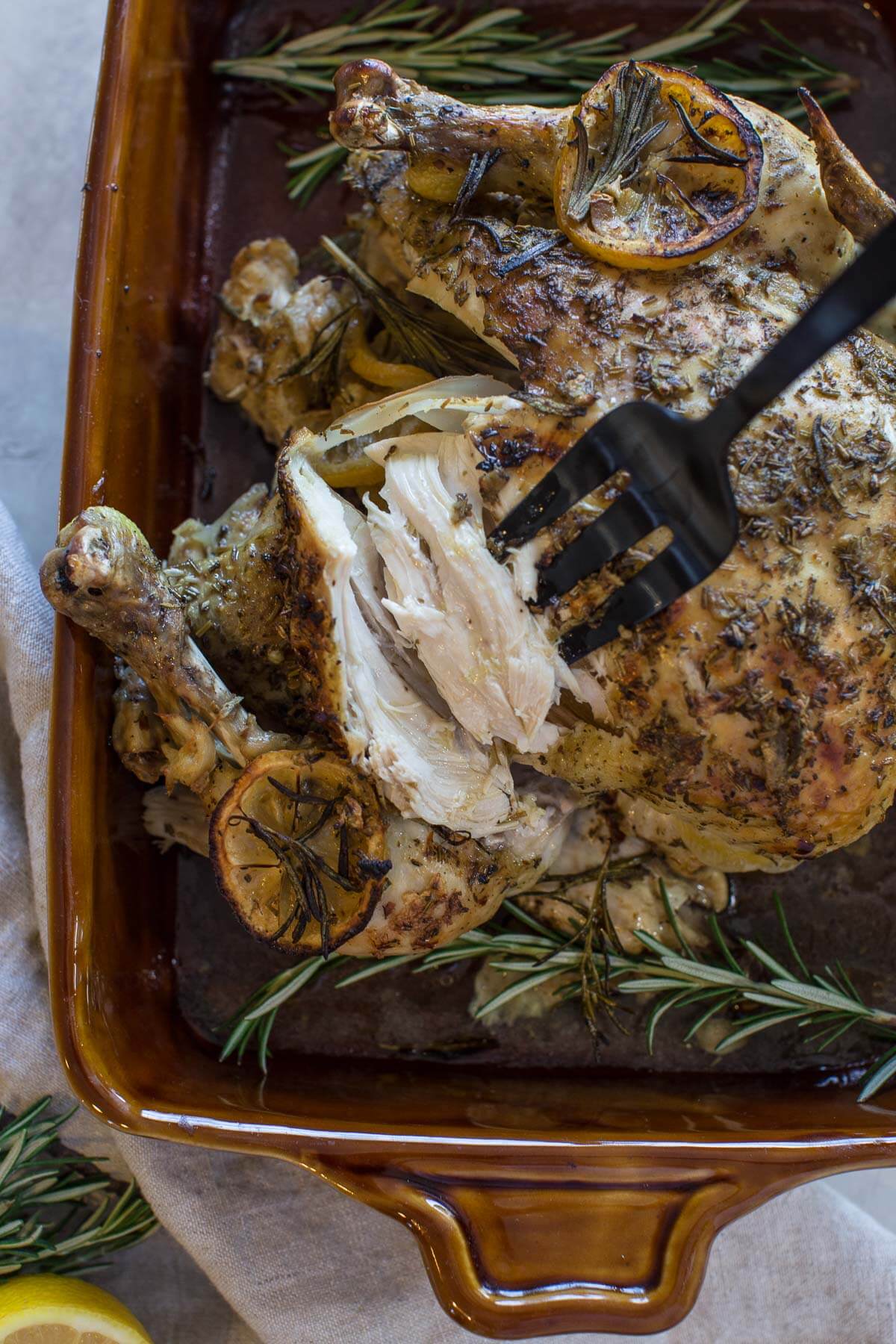 close up shot of fork pulling white meat from cooked whole chicken with fresh herbs and lemon
