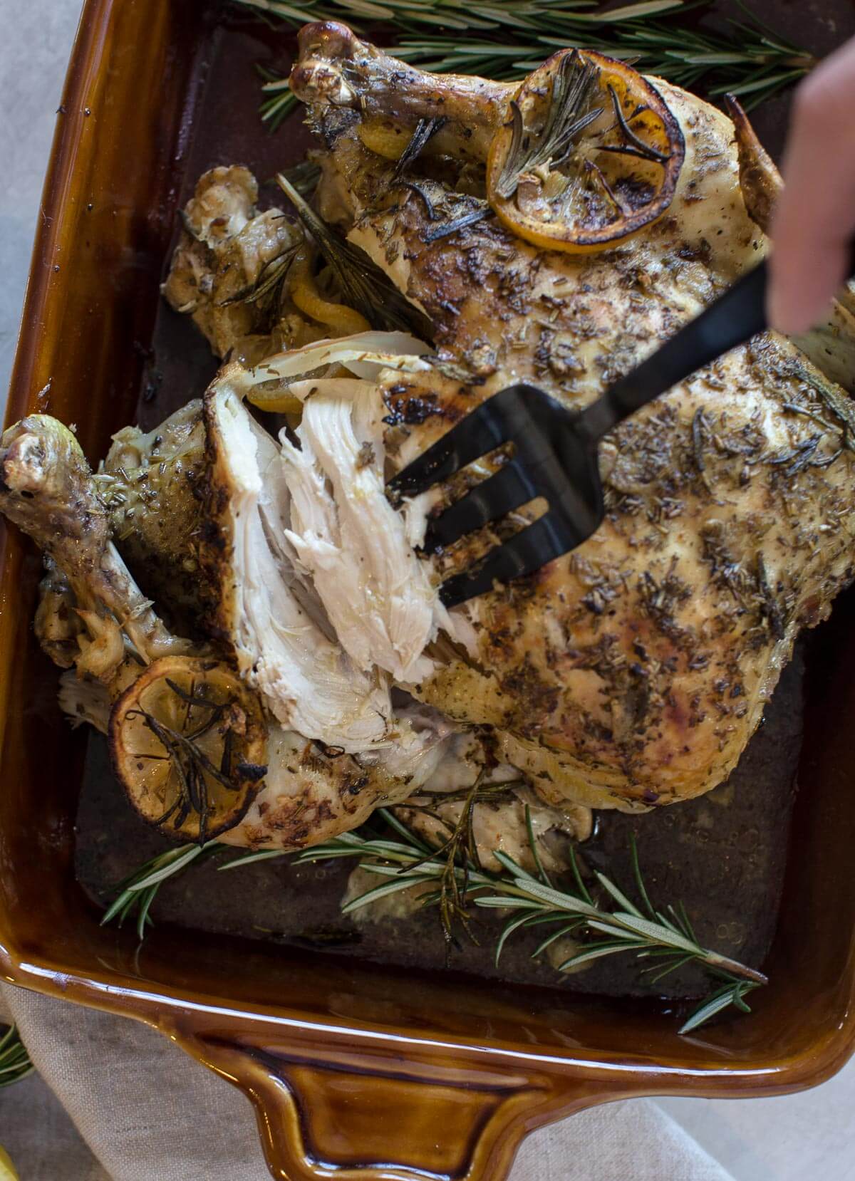 close up shot of fork pulling white meat from cooked whole chicken with fresh herbs and lemon