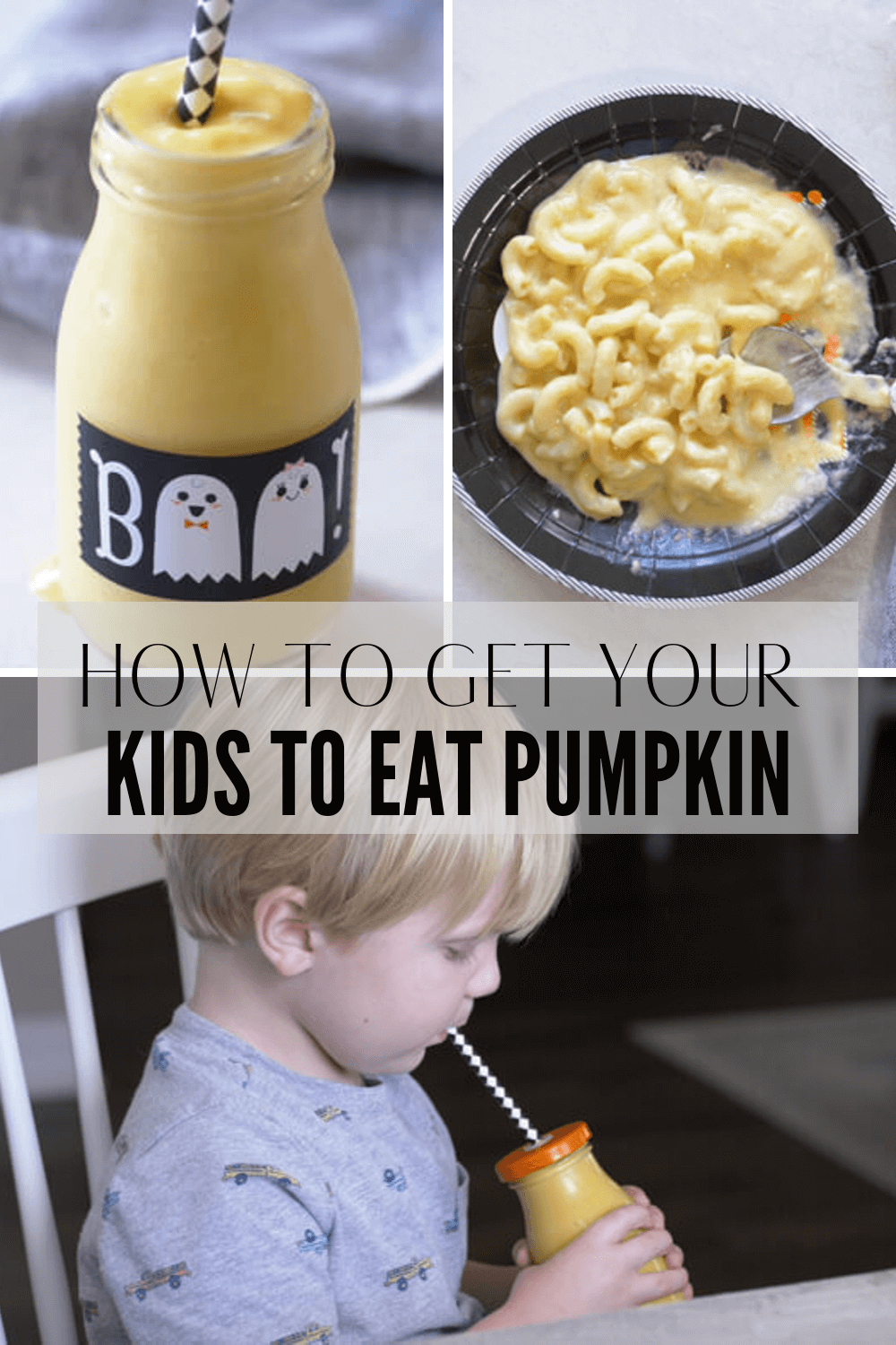 25+ Healthy Canned Pumpkin Recipes for Kids Love & Zest