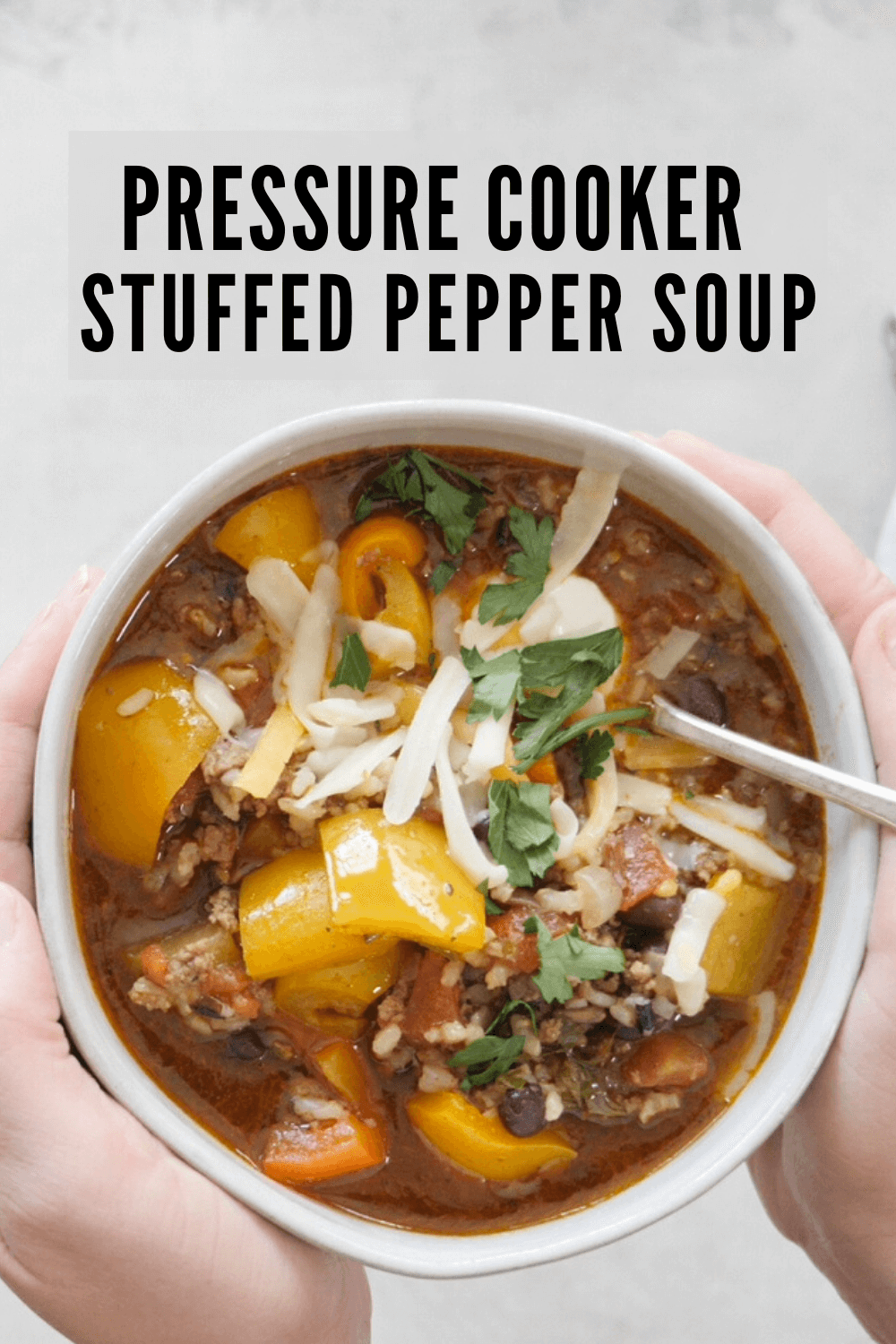 Stuffed Pepper Soup Best Pressure Cooker Soup Recipe